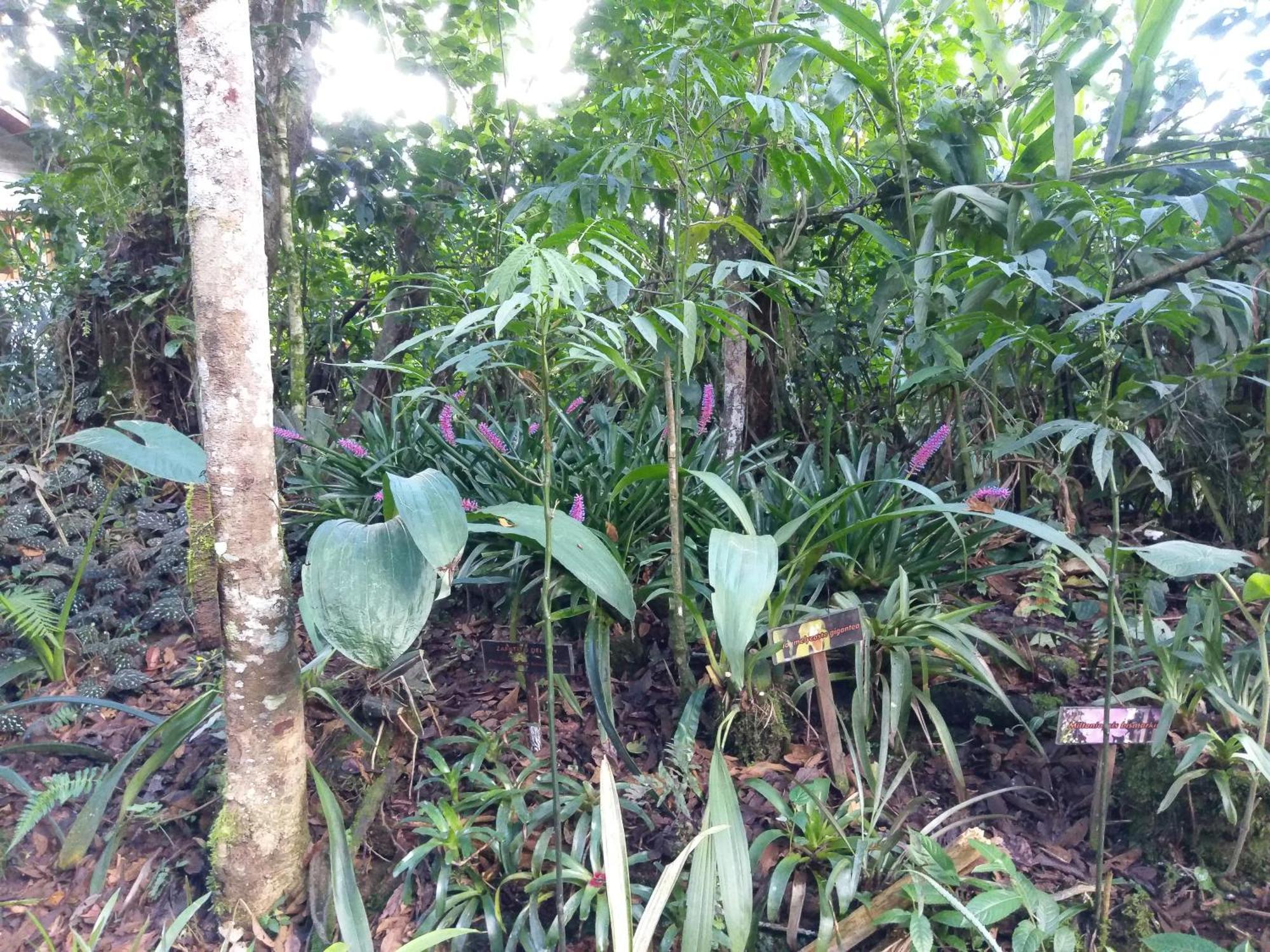 فيلا Refugio De Orquideas اوكسابامبا المظهر الخارجي الصورة