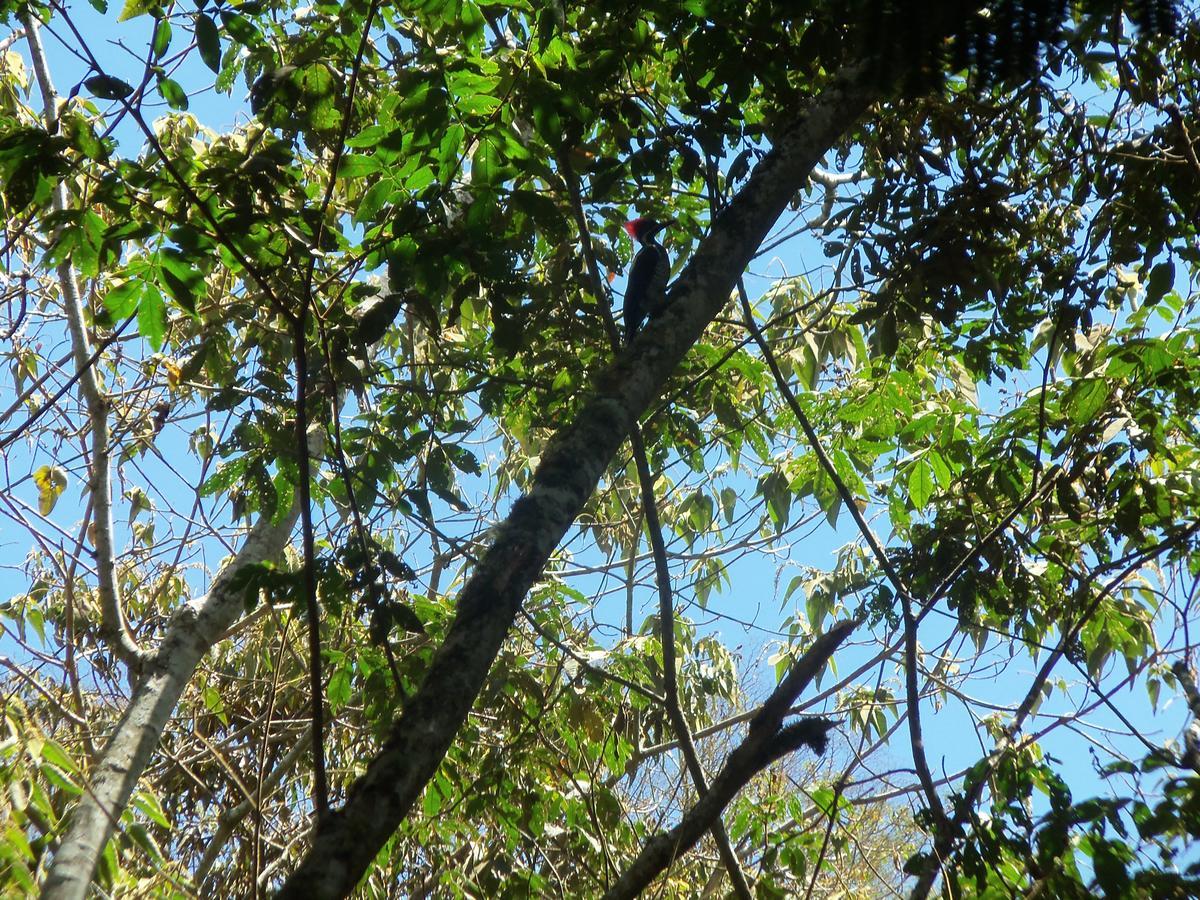 فيلا Refugio De Orquideas اوكسابامبا المظهر الخارجي الصورة