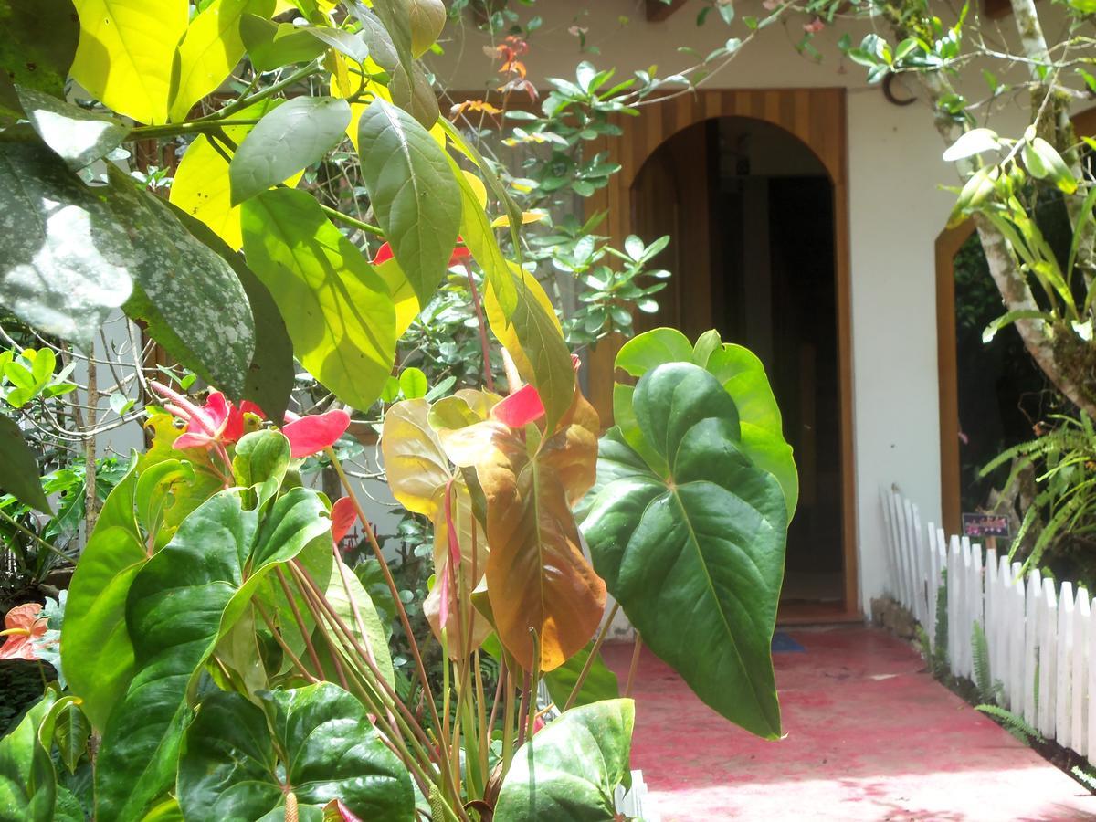 فيلا Refugio De Orquideas اوكسابامبا المظهر الخارجي الصورة