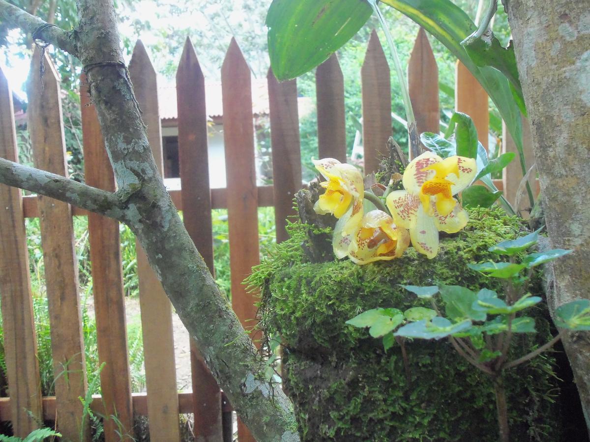 فيلا Refugio De Orquideas اوكسابامبا المظهر الخارجي الصورة